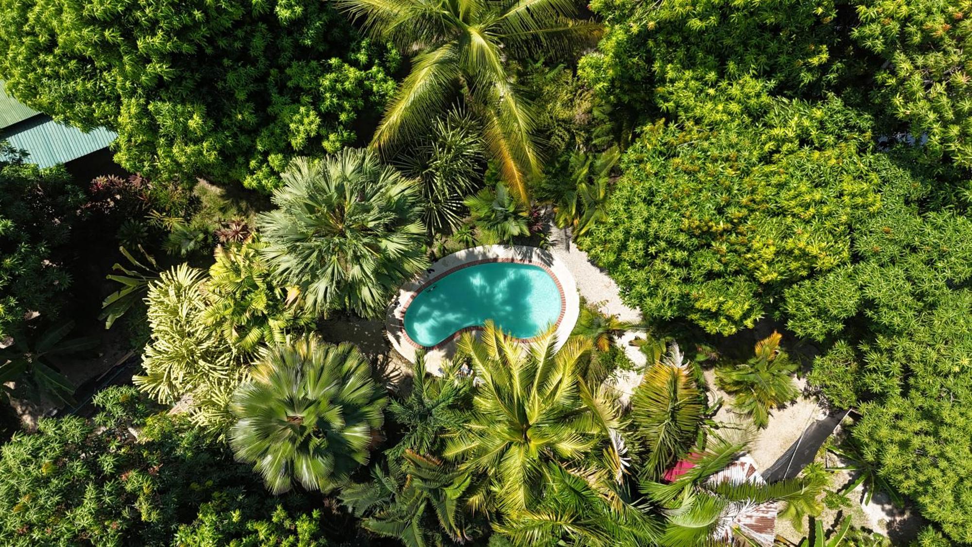 Hotel Luz De Luna Playa Santa Teresa  Екстер'єр фото